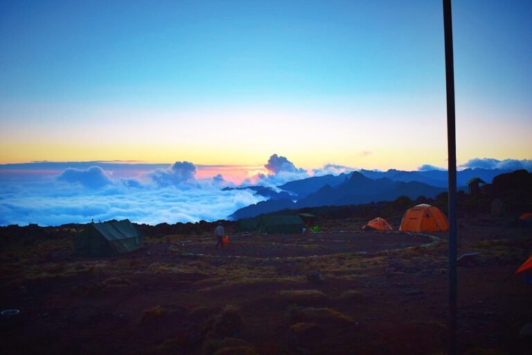 Day Two: Respect the Mountain (Kilimanjaro Trek)