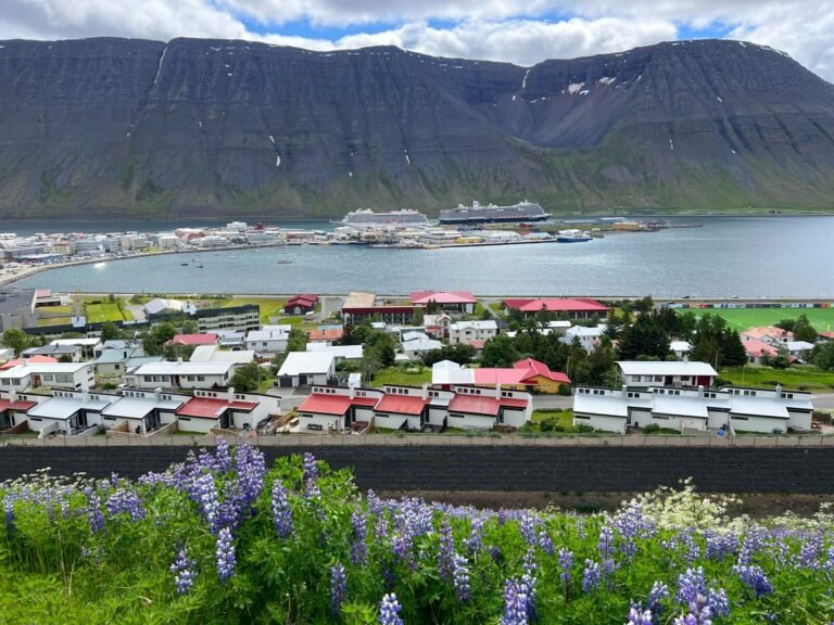 Cruise Port Stop Guide: Ísafjörður, Iceland