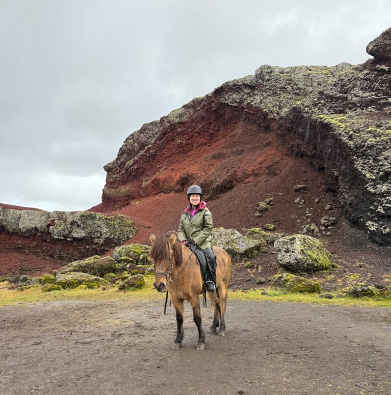 Icelandic Horse Riding Tour in the Red Lava Fields near Reykjavík, Iceland