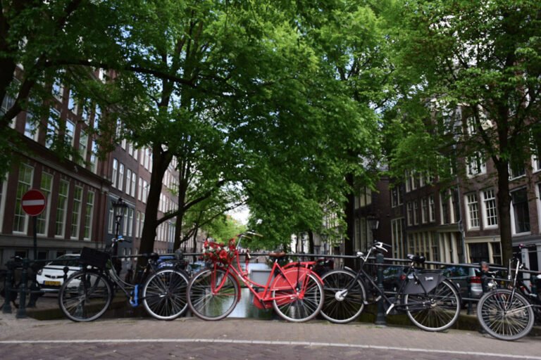 Cruise Port Stop Guide: Amsterdam, Netherlands