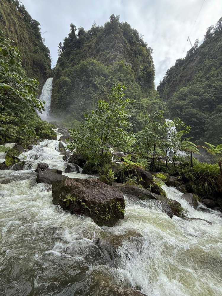Guide and Review: Dominica Scenic Tour of City & Rainforest, Waterfall & Sulphur Springs