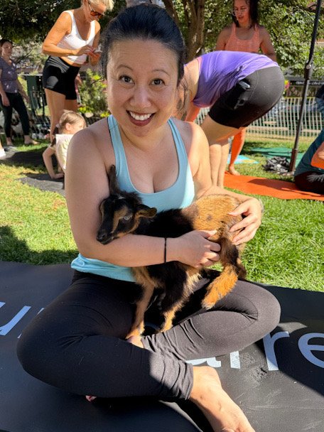 What Free Baby Goat Yoga In The Park Was Really Like (Colorado Summer 2026 Free Outdoor Fitness Class)